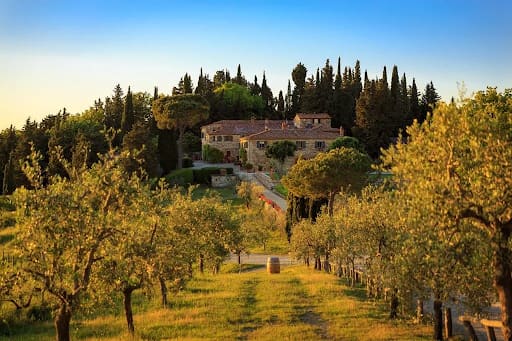 The stone villa at Le Filigare seen through the olive grove in evening light